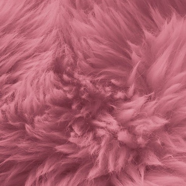 <h1>🌸PINKY PUSSY🌸</h1>