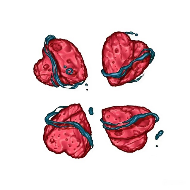 <h1>4ch + | сливы блогерш, сливы онлифанщиц и многое другое</h1>